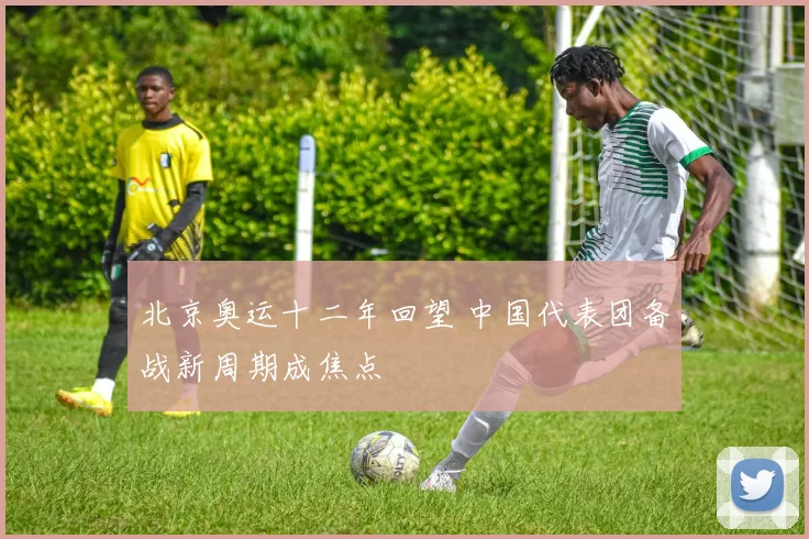 北京奥运十二年回望 中国代表团备战新周期成焦点