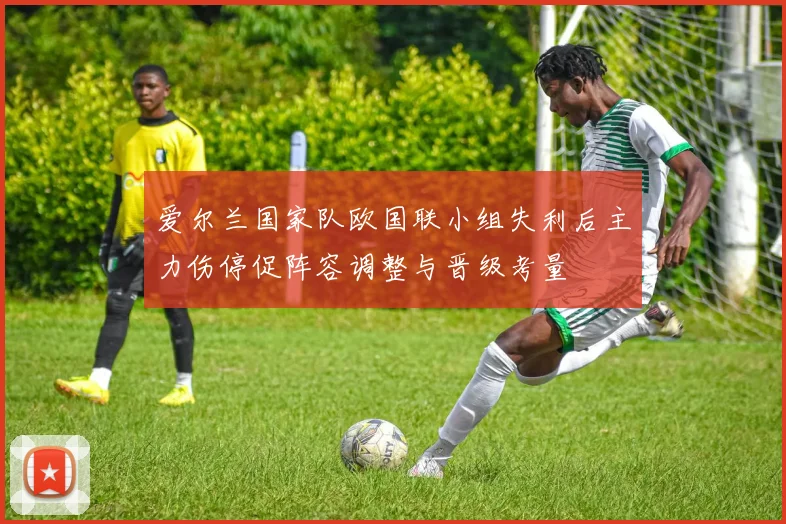 爱尔兰国家队欧国联小组失利后主力伤停促阵容调整与晋级考量
