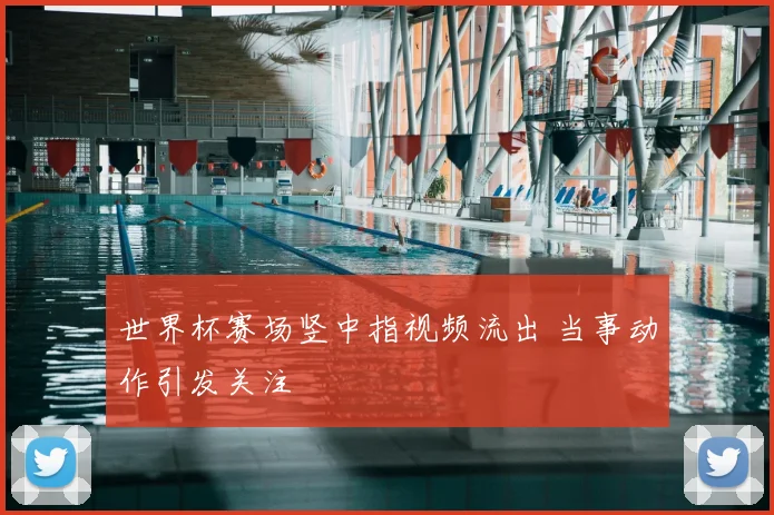 世界杯赛场竖中指视频流出 当事动作引发关注