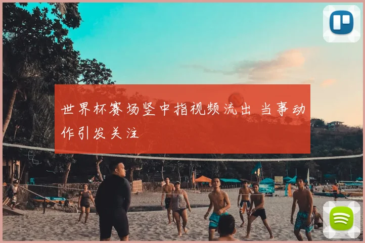 世界杯赛场竖中指视频流出 当事动作引发关注